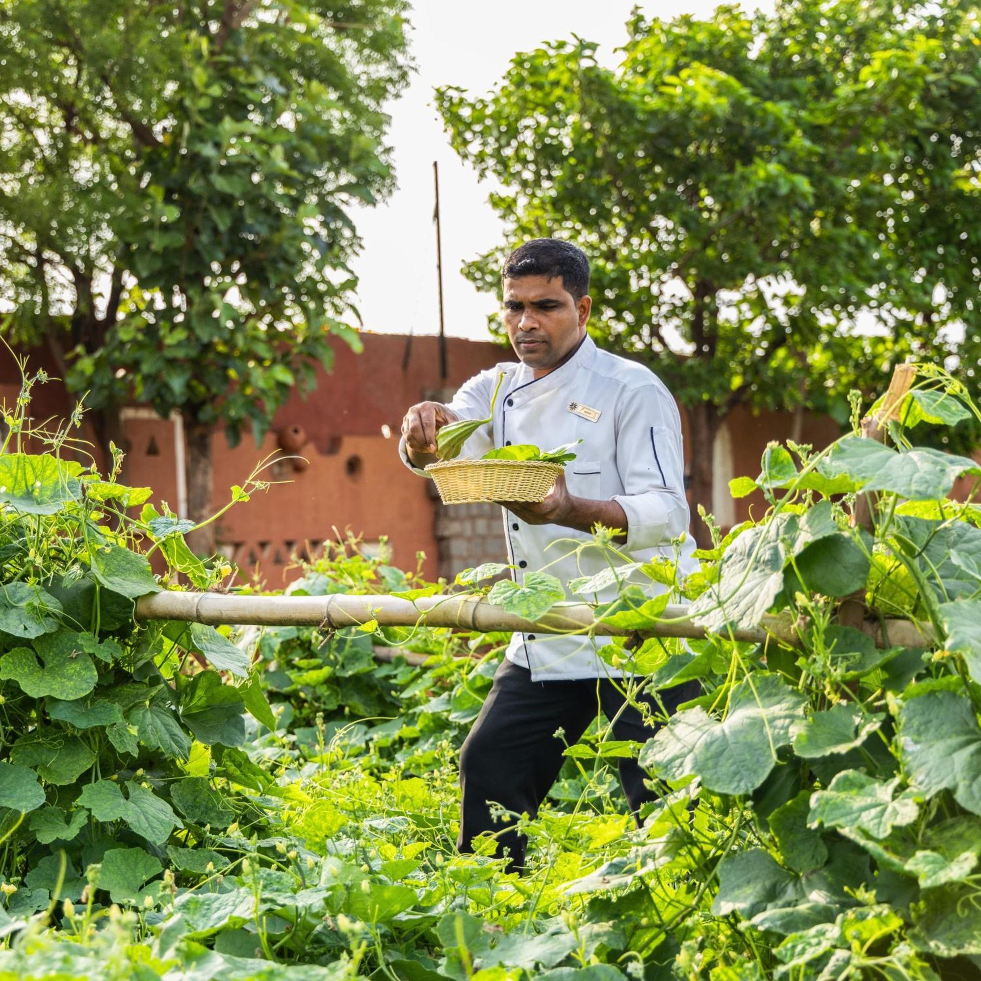 Vijayshree Resort, Hampi Dış mekan fotoğraf